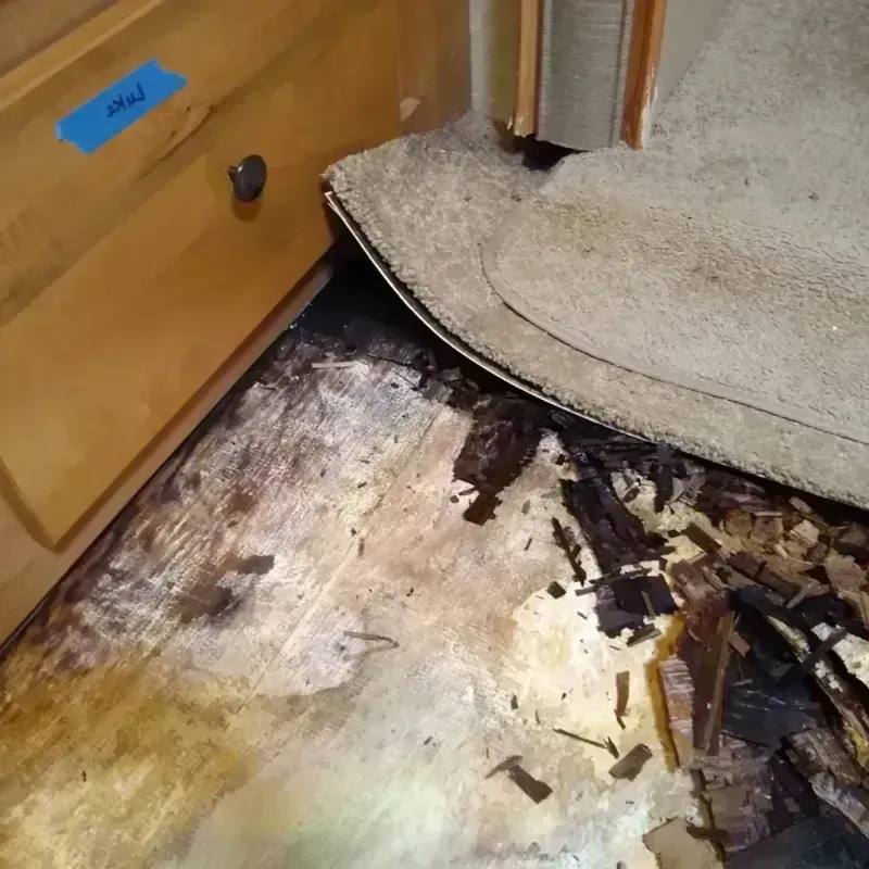 Best Wood Floor Water Damage Service in Coconut Grove, FL